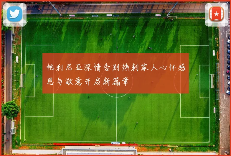 帕利尼亚深情告别热刺家人心怀感恩与敬意开启新篇章
