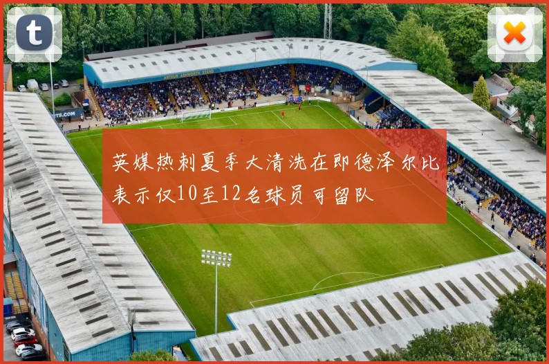 英媒热刺夏季大清洗在即德泽尔比表示仅10至12名球员可留队
